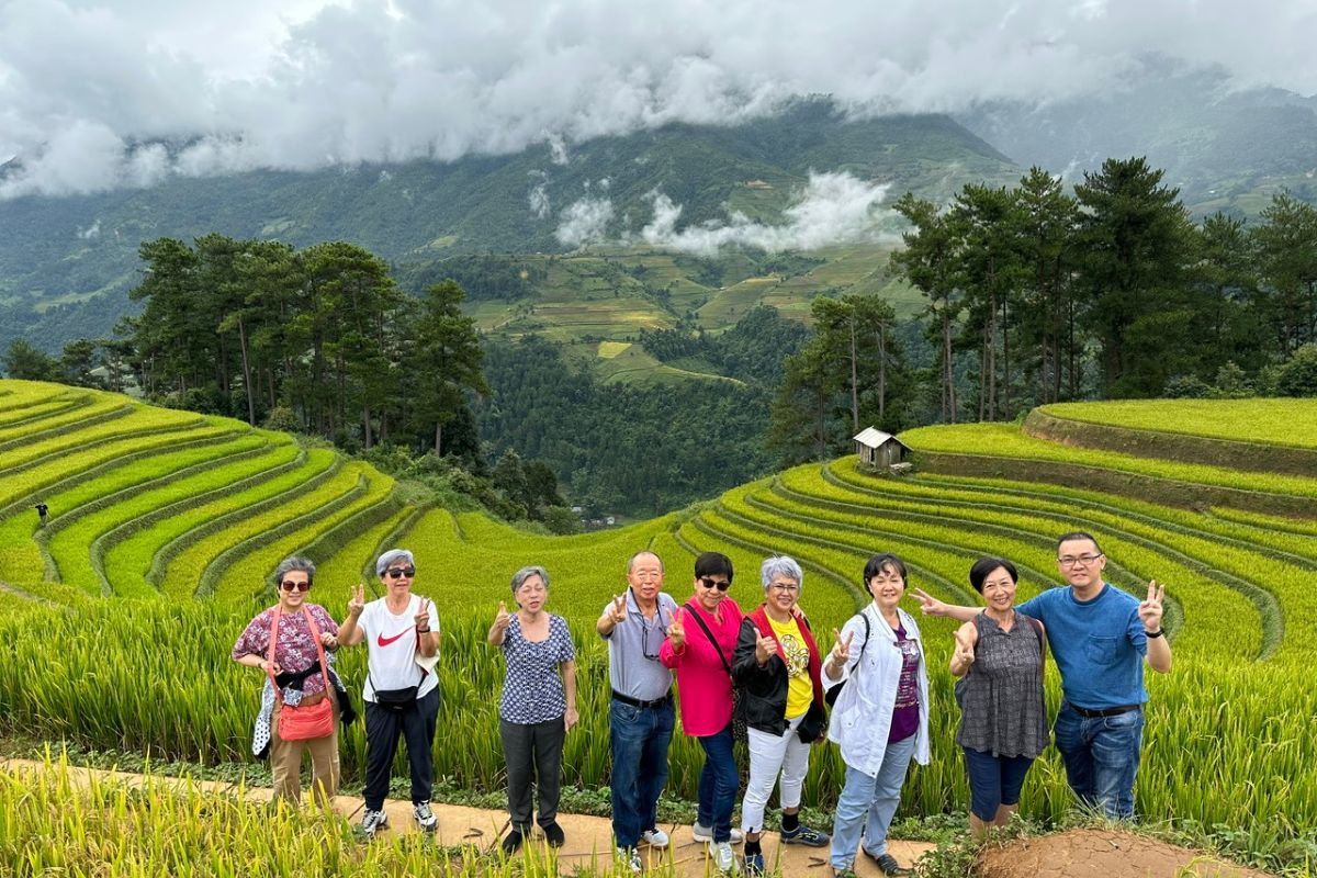 Mu Cang Chai in Harvesting Season